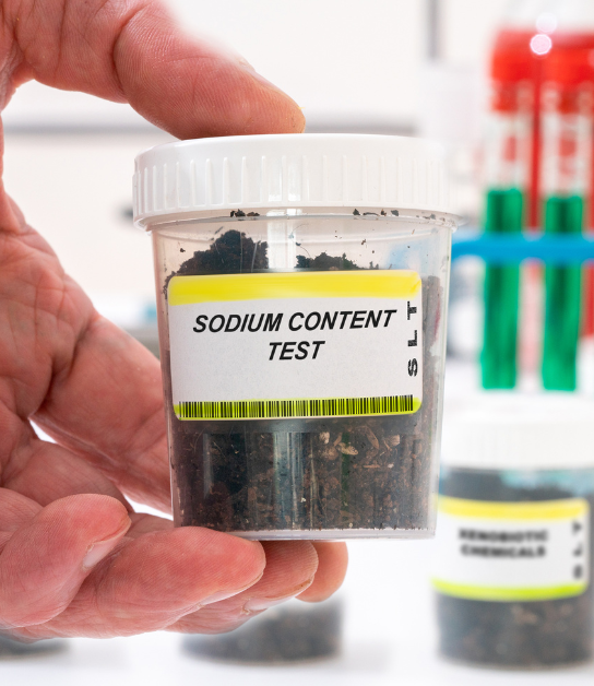 Untitled design (80)